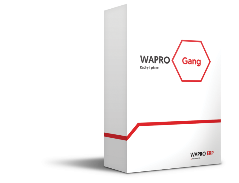 WAPRO Gang.png