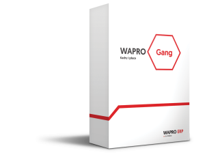 WAPRO Gang 365 BIURO PLUS 300  Cena Specjalna 